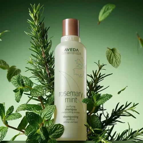 Aveda 迷迭香薄荷淨化洗髮露（250 毫升）